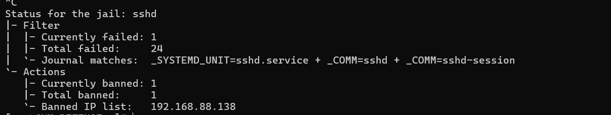 Status Fail2Ban IP bannie