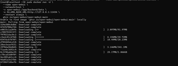 Déploiement du conteneur Open WebUI (docker run)