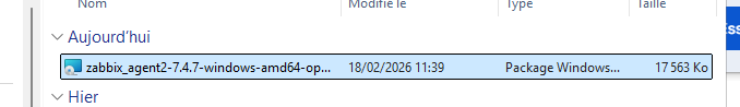 Agent Windows télécharge